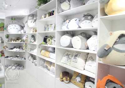 動漫周邊的經典——探訪多多洛龍貓動漫店與杭州市凡簡家居用品